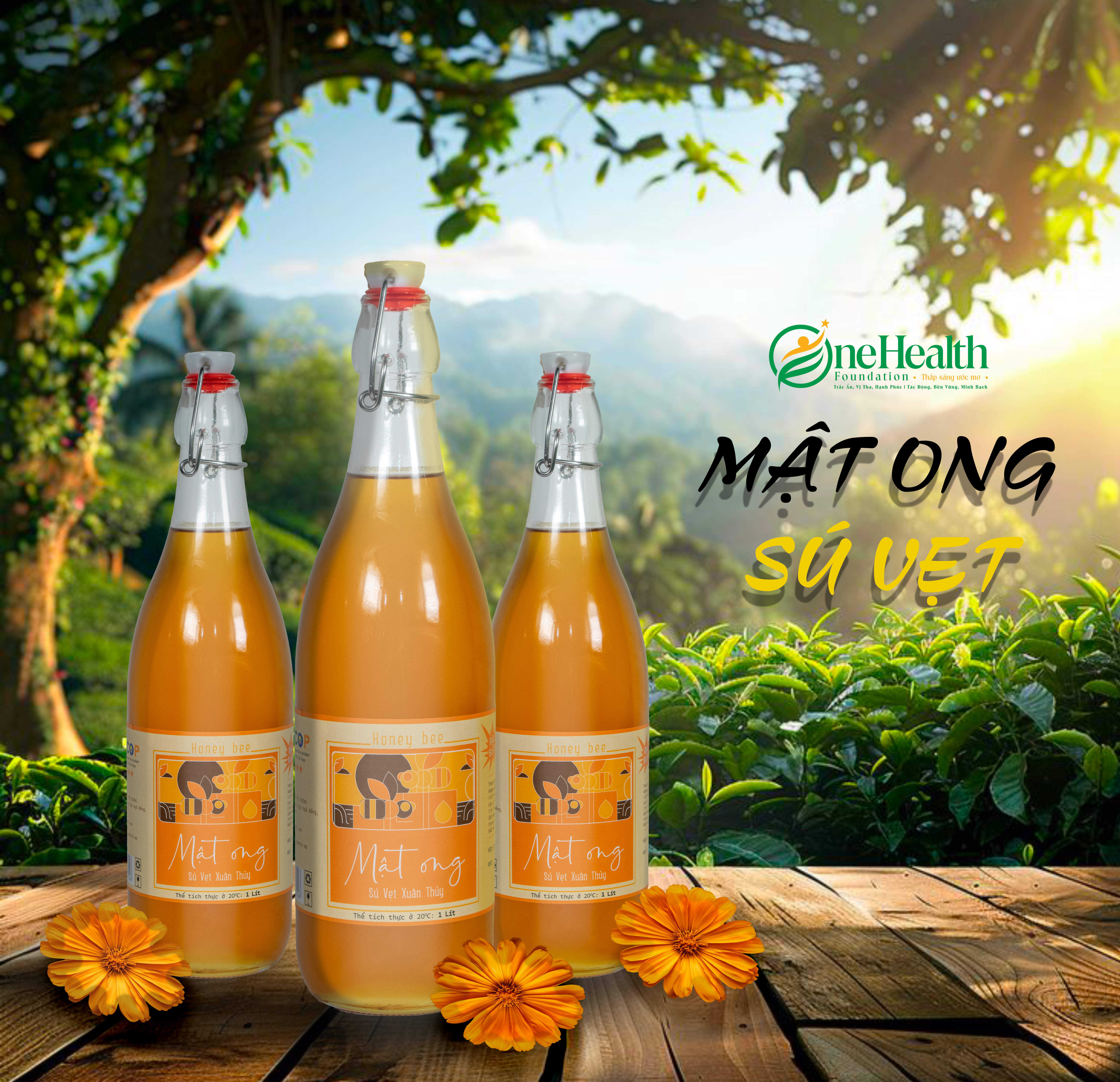 MẬT ONG SÚ VẸT
